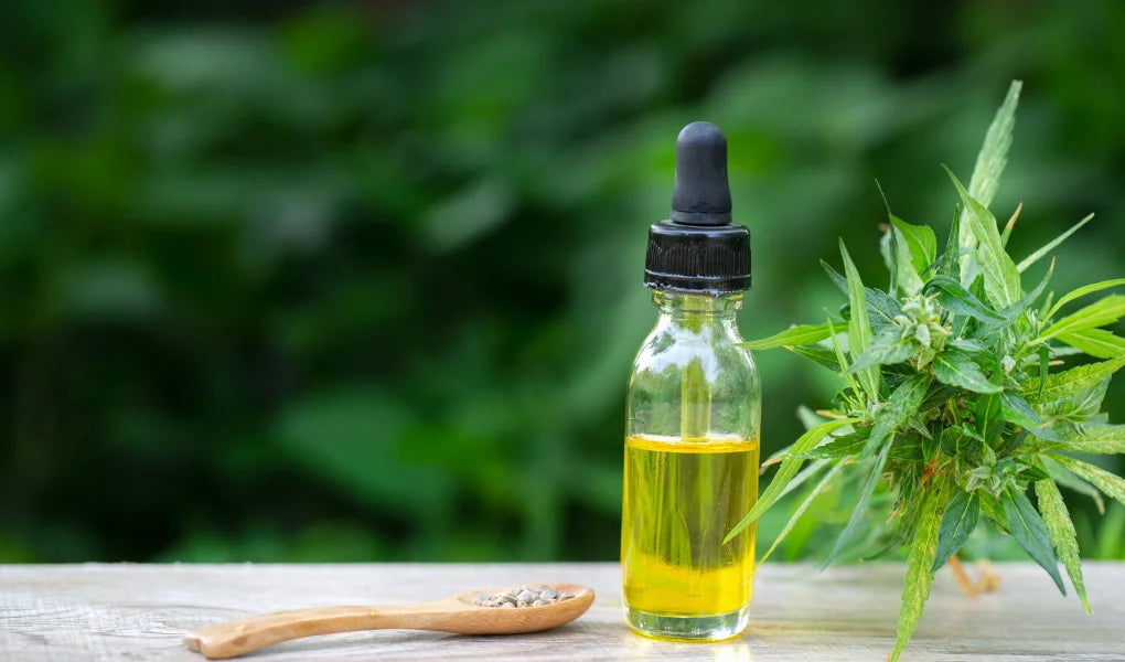 Where to Buy CBD Oil in Blackpool, UK