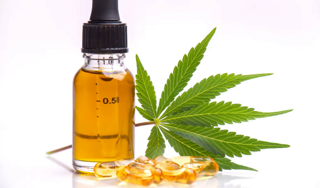CBD oil or CBD capsules