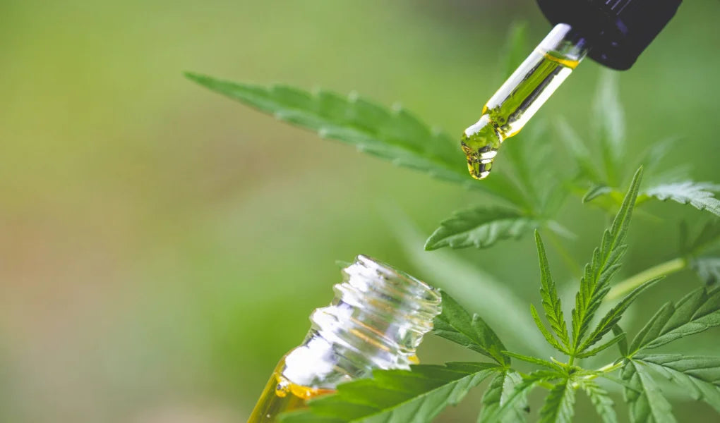 Where to Buy CBD in Bath & North East Somerset