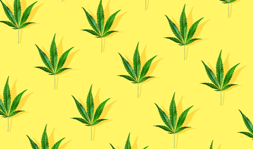 IS-CBD-BENEFICIAL-FOR-HIGH-BLOOD-PRESSURE_-JustCBD-UK