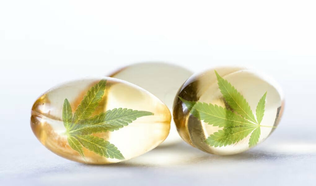 WHAT-ARE-CBD-CAPSULES-USED-FOR-JustCBD-UK